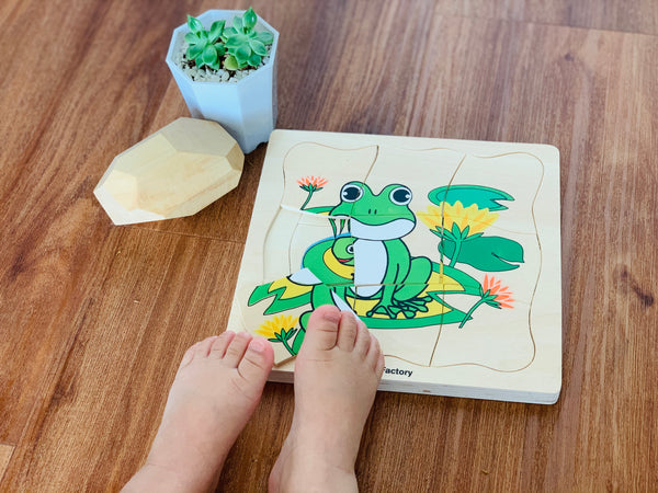 Wooden Frog Lifecycle Puzzle - 4 Layers