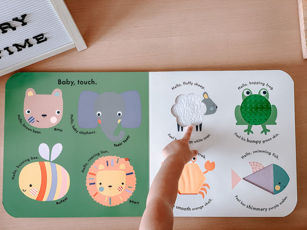 Ladybird Baby Touch: Playbook