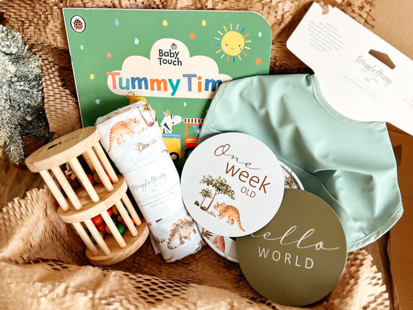 Baby Gift Box Set - Dino