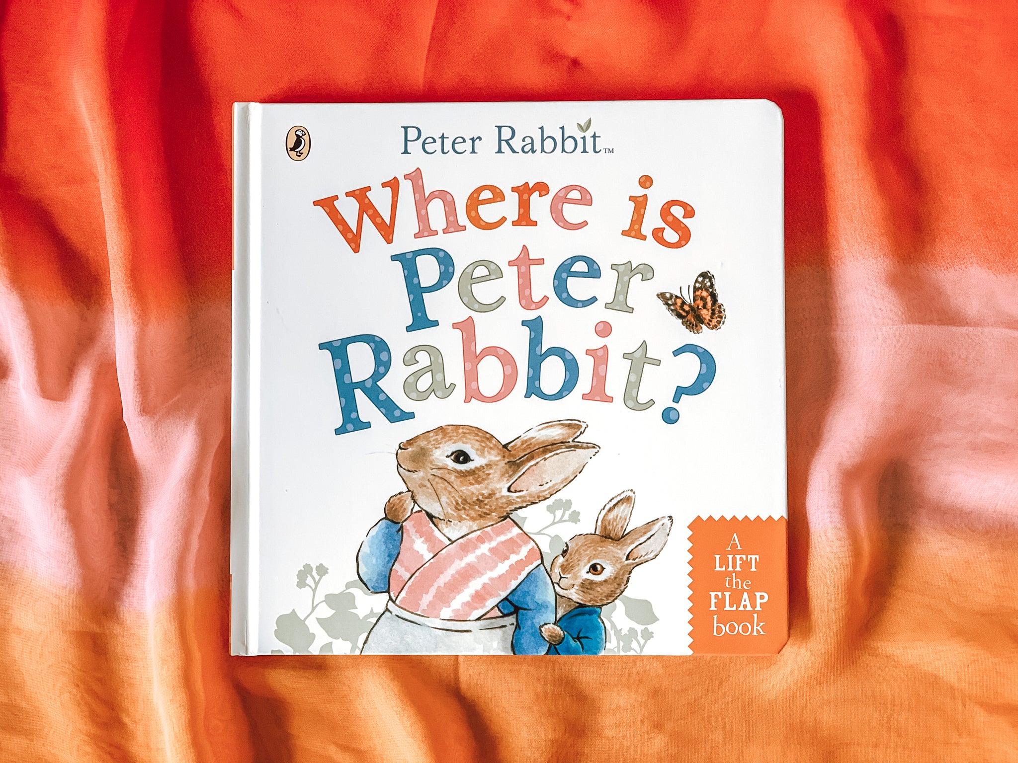 Where Is Peter Rabbit? (Lift-the-Flap)