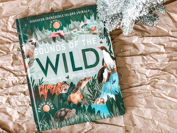 Sounds Of The Wild (Sound Book)