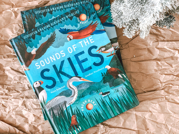 Sounds Of The Skies (Sound Book)
